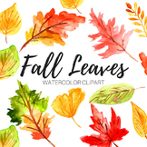 Watercolor Fall Leaves Clip art