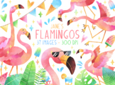 Watercolor Flamingos Clipart