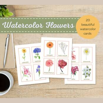 Preview of Watercolor Flashcards | Flower Identification Cards | Vocabulary Cards