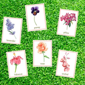 Watercolor Flashcards | Flower Identification Cards | Vocabulary Cards