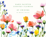 Watercolor Garden, flowers, contry style, poppies, cornflo
