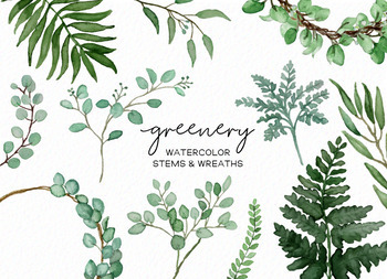 Watercolor Eucalyptus and Gold Leaves Wreath Frame Border Clipart with  Transparent Backgrounds for Invitations Logo Branding - Essem Creatives