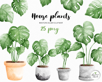 philodendron water droplets clipart