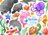 Watercolor Ocean Life Clipart