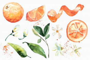 Watercolor Oranges Clipart + Wreath By Tati's Clip Art | Tpt