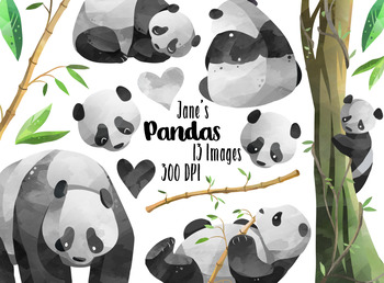Preview of Watercolor Pandas Clipart
