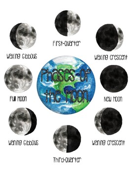 Watercolor Phases of the Moon Poster/Anchor Chart by Little Light Bulbs