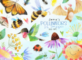 Watercolor Pollinators Clipart