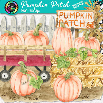 Preview of Watercolor Pumpkin Clipart: 28 Fall Harvest Clip Art Images, Commercial Use PNG