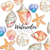 Watercolor Sea Shell Clipart