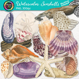 Watercolor Seashell Clipart: 30 Shells, Starfish, Coral Na