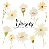 Watercolor Spring Daisy Clipart