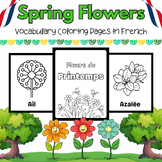 French Spring Flowers Coloring Pages for PreK & Kindergart