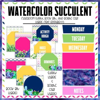 Watercolor Succulent Classroom Supply Labels {TEXT EDITABLE!} | TPT