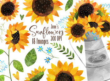 Download Sunflower Graphics Worksheets Teaching Resources Tpt