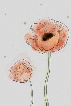 Preview of Watercolor Wash and Ink Poppy Painting for Decor, Cards, Parent or Staff Notes