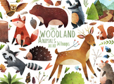 Watercolor Woodland Animals Clipart