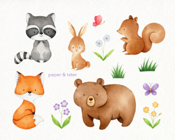 Download Watercolor Woodland Animals Clipart Graphics Forest Baby Animal Clip Art