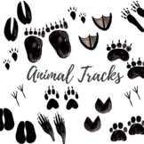 Watercolor animal tracks animal foot prints clipart