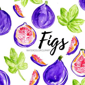 Download Watercolor Clipart Fruit Fig Food Graphics Illustration By Writelovely