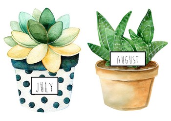 Preview of Watercolour Succulent Birthday Chart