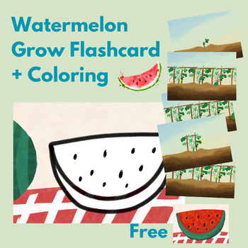 Preview of Watermelon Grow Flashcard + COLOURING Watermelon