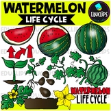 Watermelon Life Cycle Clip Art Set {Educlips Clip Art}