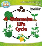 Watermelon Life Cycle Clipart {Zip-A-Dee-Doo-Dah Designs}