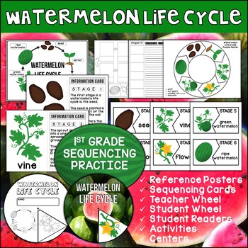 Preview of Watermelon Life Cycle | Student Reader | Science Activities and Centers