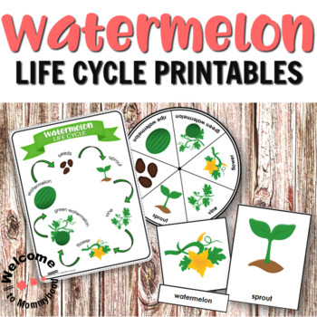 Preview of Watermelon Life Cycle Printables for Hands-on Activities