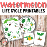 Watermelon Life Cycle Printables for Hands-on Activities