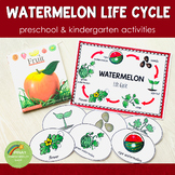 Watermelon Life Cycle Set -Preschool & Kindergarten Scienc