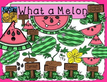 Preview of Watermelon Summer Life Cycle Clip Art by Kid-E-Clips Personal and Commercial Use