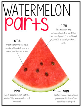 Watermelon Unit | Perfect for a Watermelon Day!