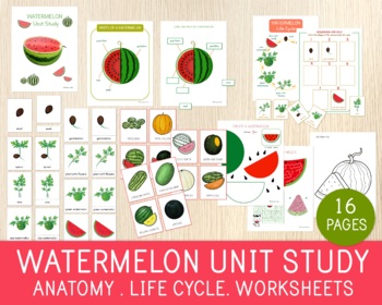 Preview of Watermelon Unit Study, Parts, Life Cycle, Varieties, Charts, Learning Pack