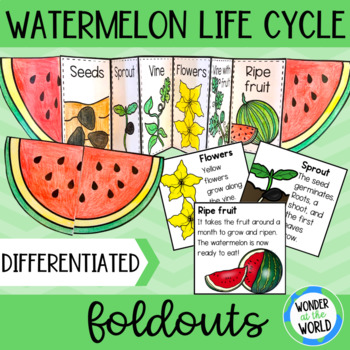 Preview of Watermelon plant life cycle foldable sequencing cut and paste science activity