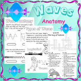 Wave Anatomy: Characteristic, type: Mechanical, Transverse