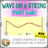 Wave on a String PhET Lab