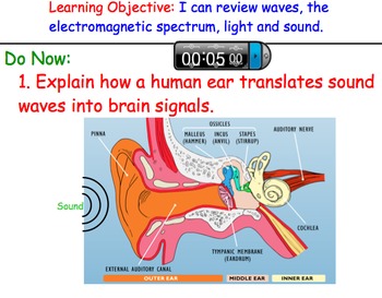 Preview of Waves, Light & Sound Unit Review - Presentation, Group Activities, Vocab, Videos