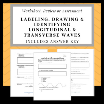 Longitudinal Transverse Waves Worksheet Review Or Assessment Tpt