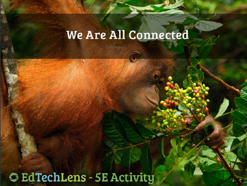 Preview of We Are All Connected - Food Webs, Energy Flows, & Ecosystems Classroom Activity