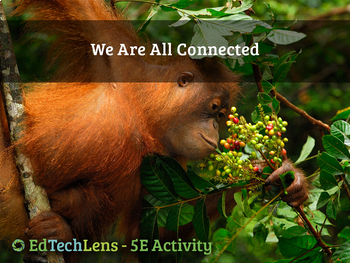 Preview of We Are All Connected - Food Webs, Energy Flows, & Ecosystems- Home User Activity