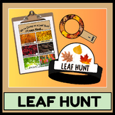 We're Going on a Leaf Hunt | Nature Scavenger Walk | Autum
