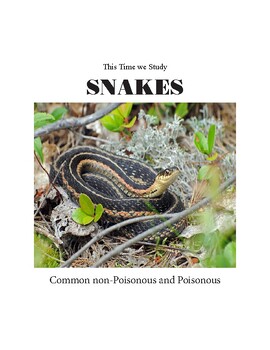 Preview of We study common snakes from a distance (Both nonpoisonous and poisonous)