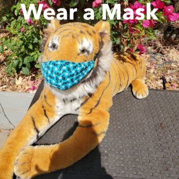Preview of Wear a Mask FREE song & video! (help stop the spread of COVID-19/coronavirus)