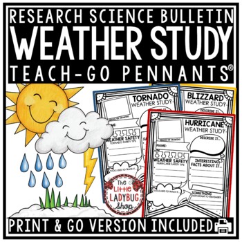Preview of Weather and Climate Activities Research Study Science Bulletin Board Posters