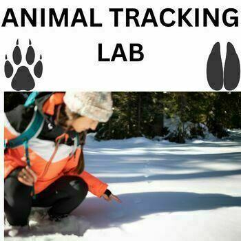 Preview of Weather Animal Tracks in the Snow Middle and High School Science Nature