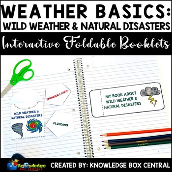 Preview of Weather Basics: Wild Weather & Natural Disasters