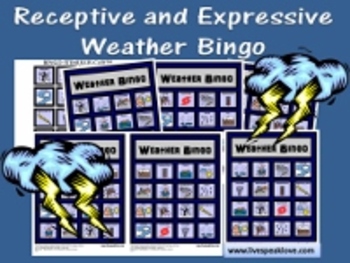Preview of Weather Bingo: Receptive and Expressive Language Activity