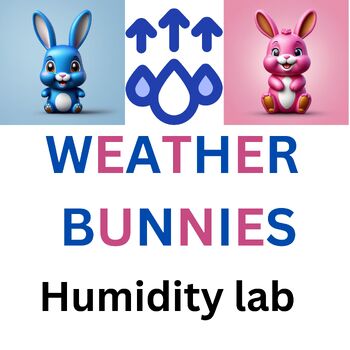 Preview of Weather Bunnies Lab  Hydrated Ionic Compounds to measure Humidity
